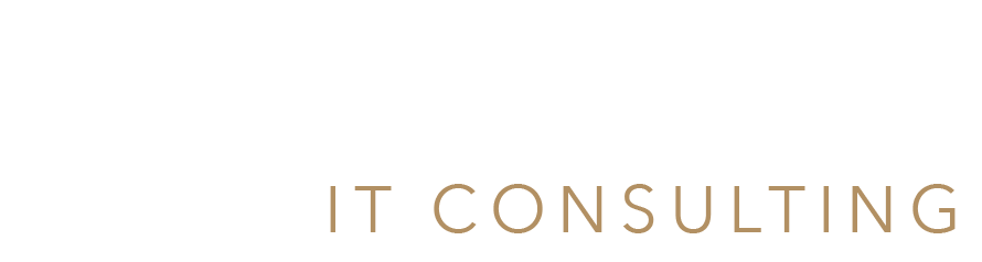 schneider Consulting